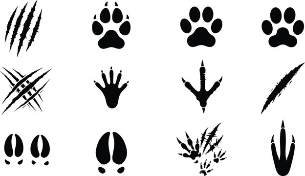Animal track silhouette vector icon set featuring paw prints monster claw scratches bird talon marks deer hooves and wild beast footprints for graphic designs