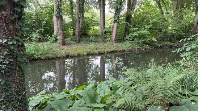 Nebenarm des Flusses Erft in einer Naturlandschaft am Niederrhein in Deutschland