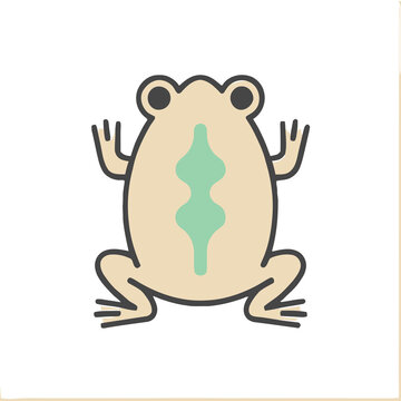 Simple frog illustration