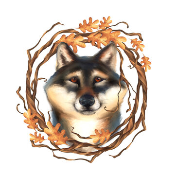 Hand-drawn illustration of a cute wolf shiba inu dog in an autumn oak leaf wreath