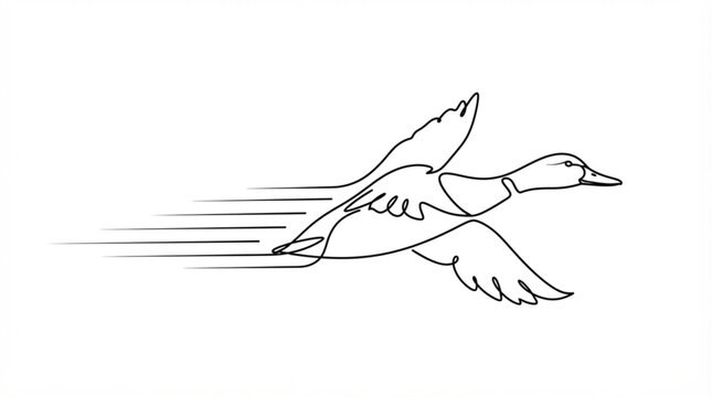 Flying wild duck bird flight continuous line art motion vector