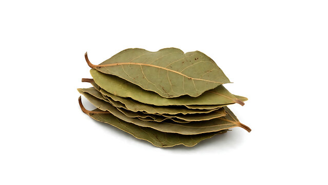 Dried Bay Leaves Tej Patta Stacked
