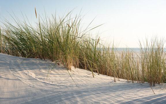 D&uuml;nenlandschaft an der Nordsee