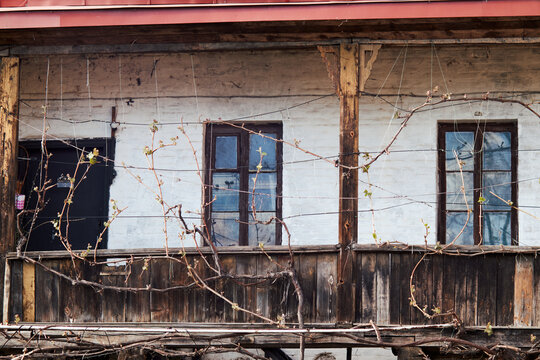 Historic rustic house facade with wooden balcony, climbing vines