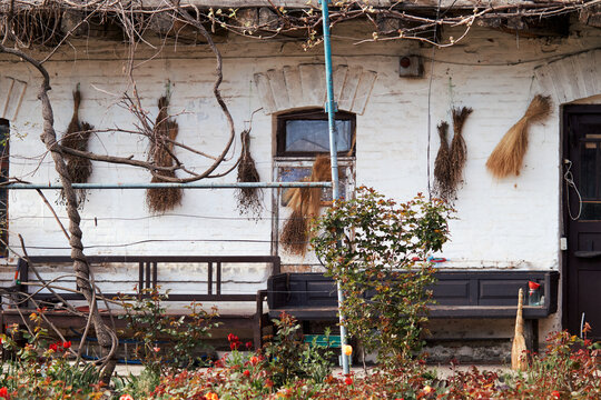 Traditional rustic house facade with dried herbs, grapevine, garden flowers and bench
