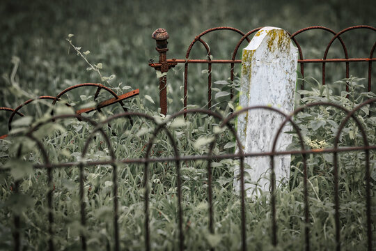 Walke Point Graves 1