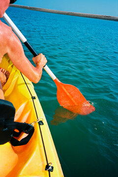 Woman Paddling Kayak