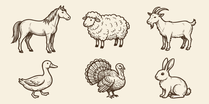 hand drawn cheep and snail animal,illustration set