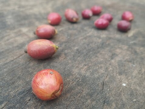 Red coffee cherries Excelsa