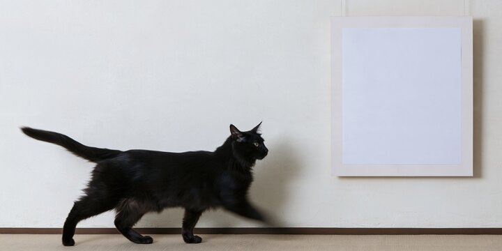 Black cat walking past a blank white mockup frame on a cream microcement wall, featuring a clean minimal with copy space