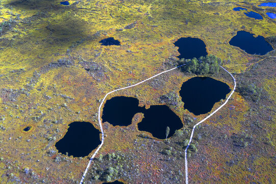 Soomaa National Park (Estonian: Soomaa rahvuspark) is a national park in south-western Estonia. Soomaa National Park is a Wilderness Capital of Estonia. Soomaa translates as Land of Mires.