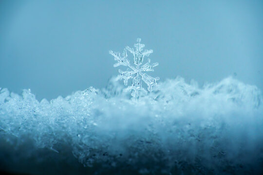Close-up macro photograph of a single, highly detailed, perfect snowflake crystal standing out amidst a snowy texture against a serene cool blue background. This minimalist winter stock asset offers p