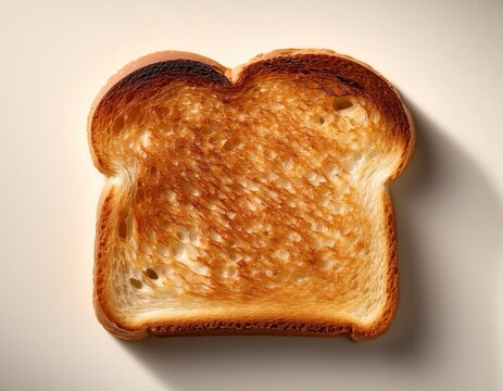 a single crisp slice of toasted bread with a golden brown crust
