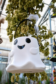 cute smiling ghost decoration hanging in greenhouse with dried hops plants around, halloween concept