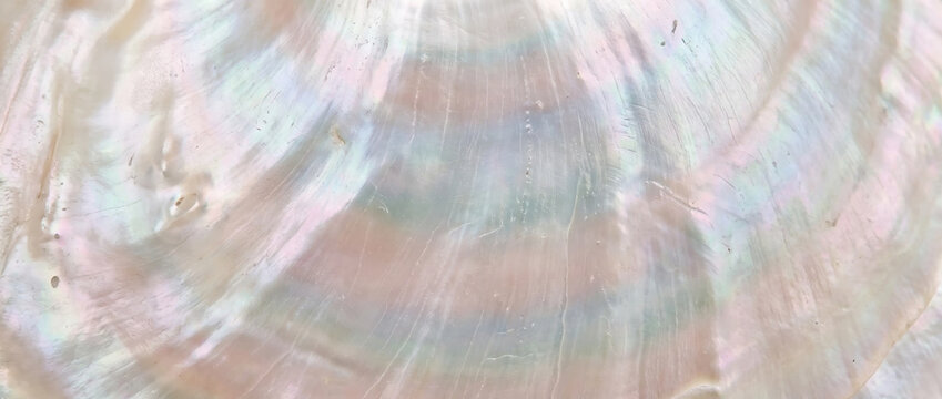 Mother of pearl surface texture. Close up shot of iridescent nacre shell pattern