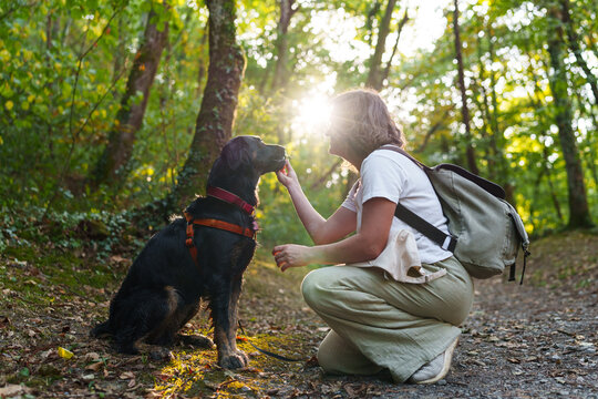 Woman walking with her black dog in an autumn forest