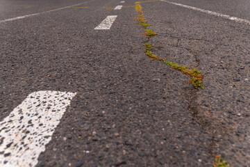 Obraz premium Crack in the road with green growth in an urban area during daylight