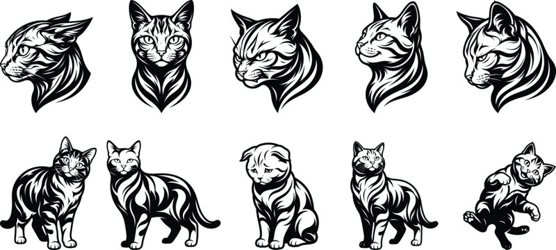 Set of Ten Cats Head and Full Body Vector Illustrations