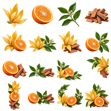 Botanical perfume ingredients grid with champaca and orange