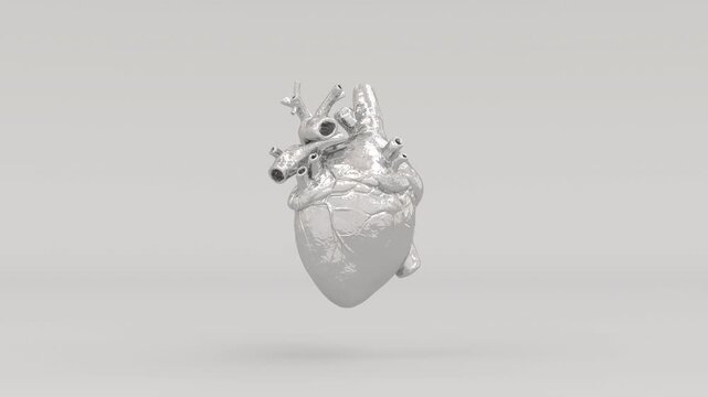 Chrome Metallic Human Heart Anatomical Model Rotating 3D Illustration Video