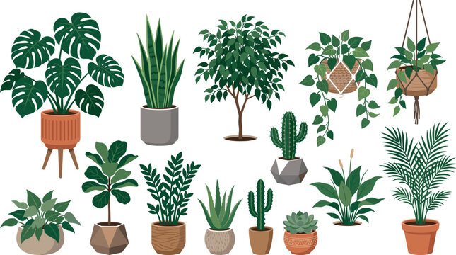 Potted houseplants vector cartoon element collection with monstera snake plant cactus hanging pots isolated on white background