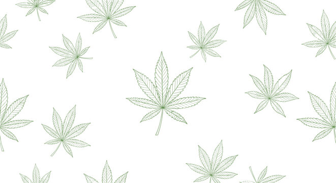 Seamless vector pattern of green hand drawn cannabis leaves on a clean white background for textile design.