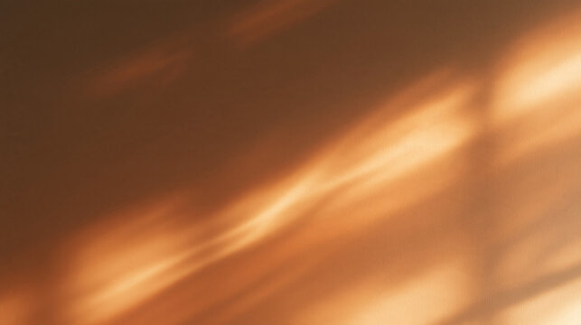 Warm Sunlight Shadow Overlay on Textured Wall