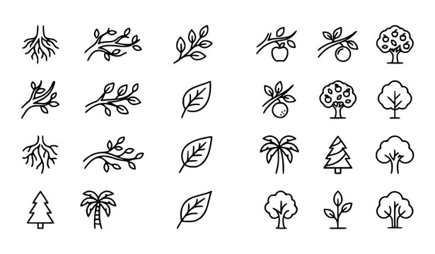 Botanical Trees Linear Icon Collection with Roots Leaves and Fruits