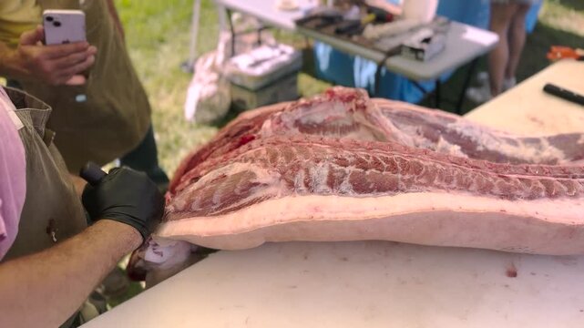 Professional butcher using a saw to carefully cut fresh raw meat carcass in a kitchen or processing facility, ideal for culinary and food production projects.
