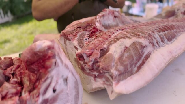 Professional butcher using a saw to carefully cut fresh raw meat carcass in a kitchen or processing facility, ideal for culinary and food production projects.
