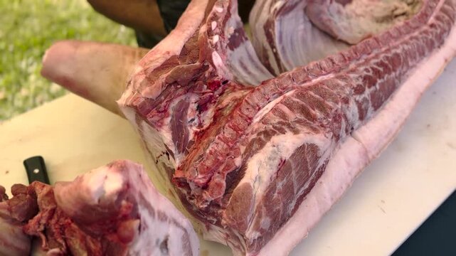 Professional butcher using a saw to carefully cut fresh raw meat carcass in a kitchen or processing facility, ideal for culinary and food production projects.
