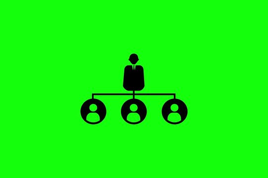 Business Organization and Team Structure Animation on Green Screen
