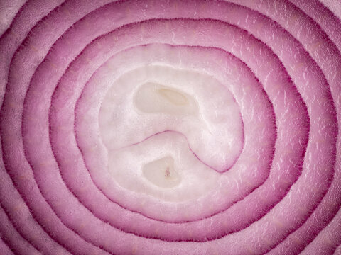 Close up abstract view of natural circular layers inside a sliced red onion
