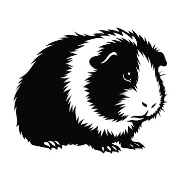 Black and white silhouette illustration of a cute fluffy guinea pig isolated on transparent background