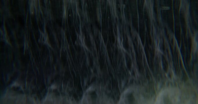 Defocused ink wave. Smoke water texture. Purple color pigment fog fume acrylic rainbow cascade spreading on abstract black background.