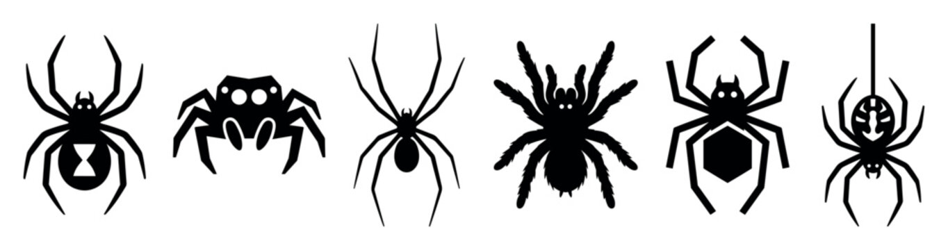 Six black spider silhouettes of different species featuring a black widow tarantula and jumping spider for spooky seasonal designs