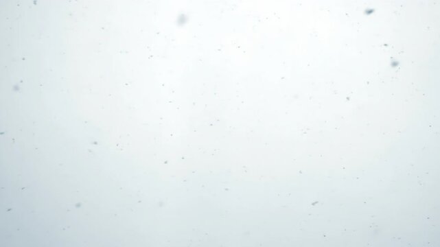 Snowfall in the White Sky. Heavy snowfall. Snowflakes are flying fast and erratically toward the camera