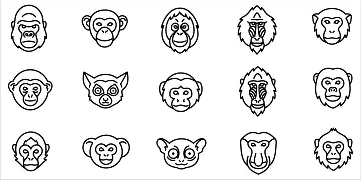 A collection of black and white sketches depicting various monkey faces and expressions