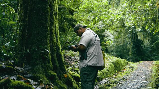 Latin photographer exploring a tropical rainforest, capturing images of a mossy tree trunk along a jungle path in Costa Rica