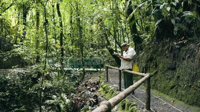 Latino male photographer exploring a lush jungle path in Costa Rica. Green nature background in Arenal Volcano National Park