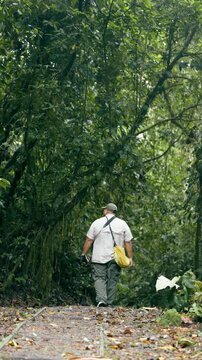 Explorer walking on a path in a lush green rainforest. Man on a trekking adventure through the tropical jungle of Costa Rica
