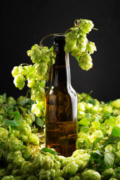 Brown glass bottle surrounded by fresh green hops on a dark textured background with subtle light.
