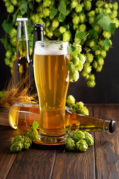Refreshing Golden Beer Glass with Hops and Bottles on Rustic Wooden Table