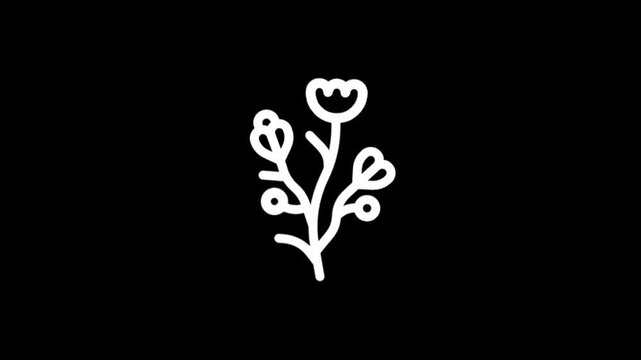 Minimalist white floral design elements on a black background for graphic design