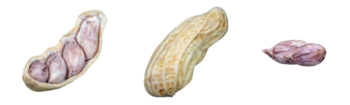 Group of shelled peanut kernel, peanut in pod, and skin, isolated on transparent background.
