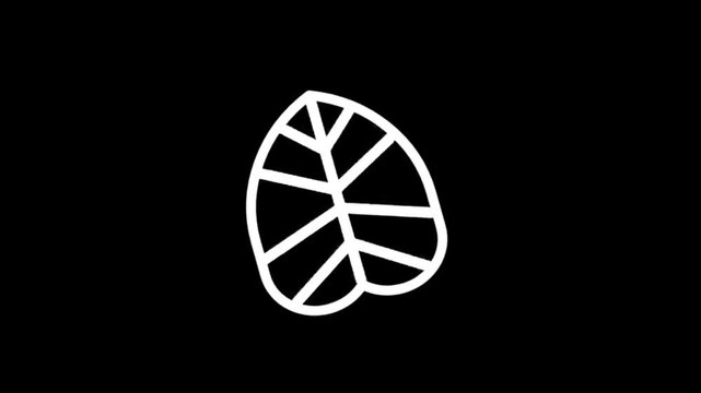Simple white leaf icons on a black background representing nature and growth