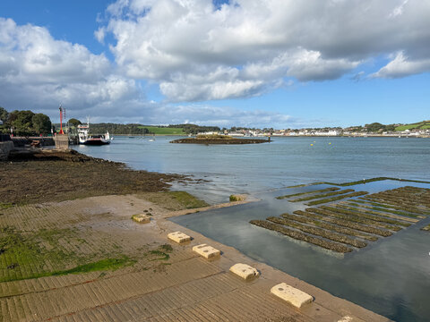 Low tide reveals a textured slipway and tidal shoreline along Strangford Lough, with Portaferry visible across the water beneath dramatic white clouds and blue sky.