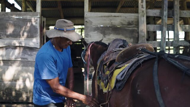 Mature Latin stableman wearing a hat carefully prepares and saddles a brown horse. He is inside a rustic wooden barn before riding