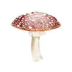 Obraz premium Red fly agaric mushroom painted in watercolor with vintage gothic and magical Halloween aesthetics. Ideal for packaging, stationery, textile, wallpaper, stickers, invitations and seasonal decor.
