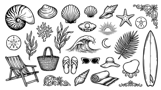 Vintage Hand Drawn Coastal Seashell and Summer Beach Club Vector Collection
